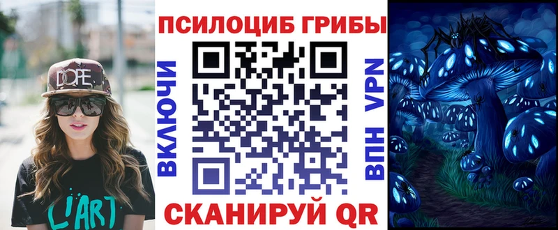 где купить наркотик  Ивангород  Галлюциногенные грибы Psilocybine cubensis 